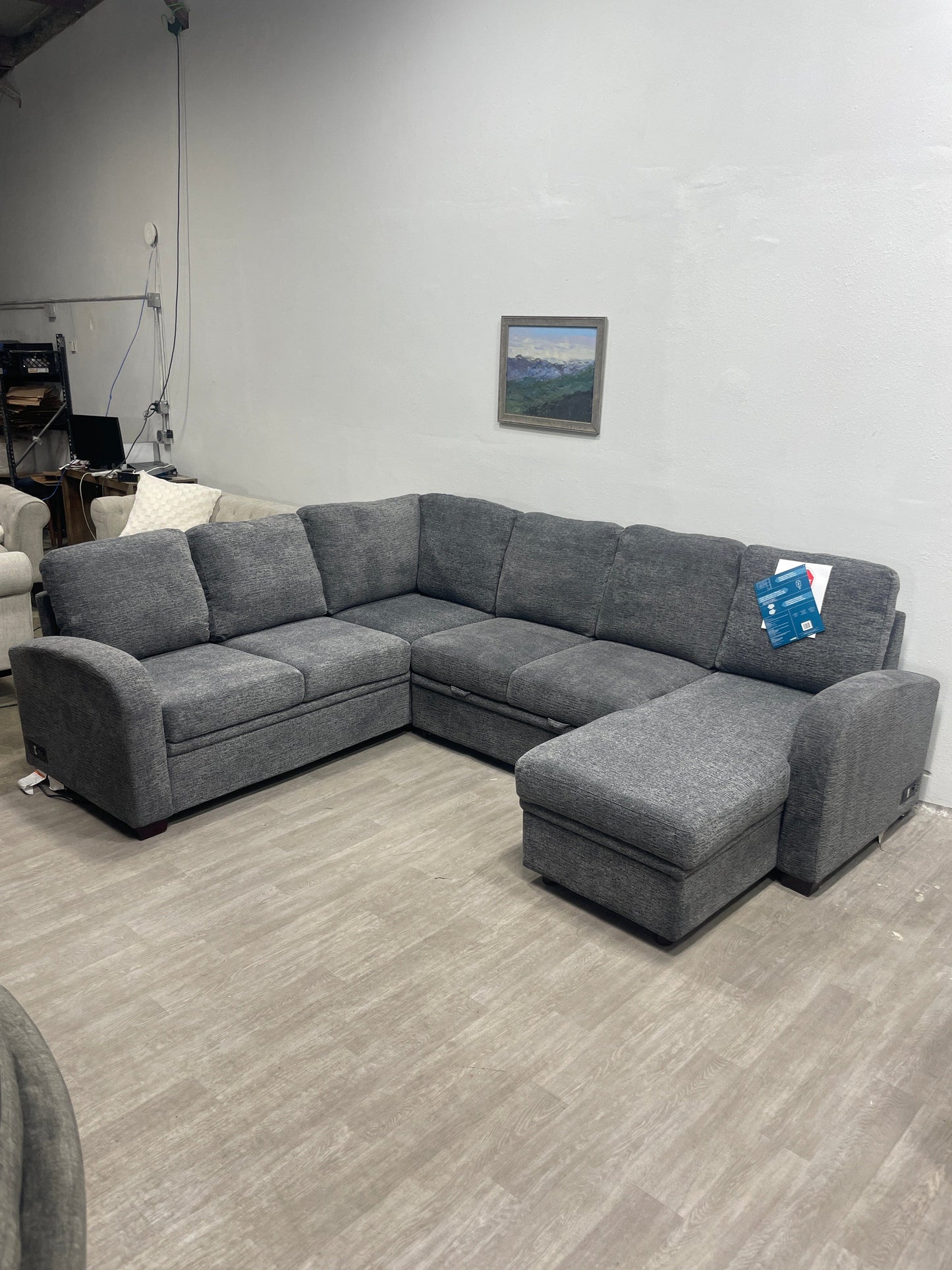 Coddle Sleeper Sectional