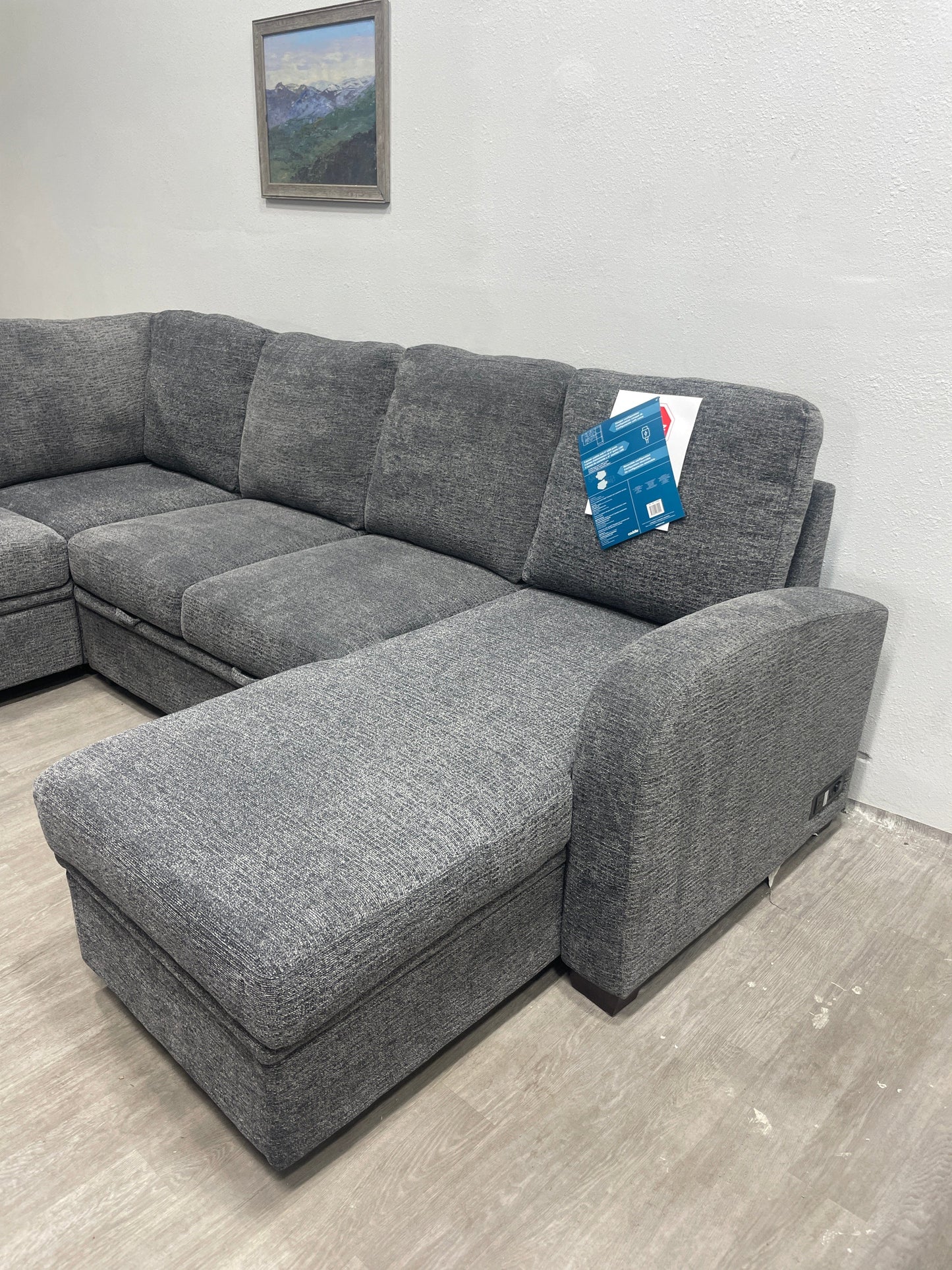 Coddle Sleeper Sectional